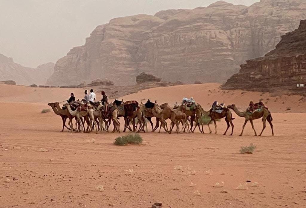 Wadi Rum Trail Extérieur photo