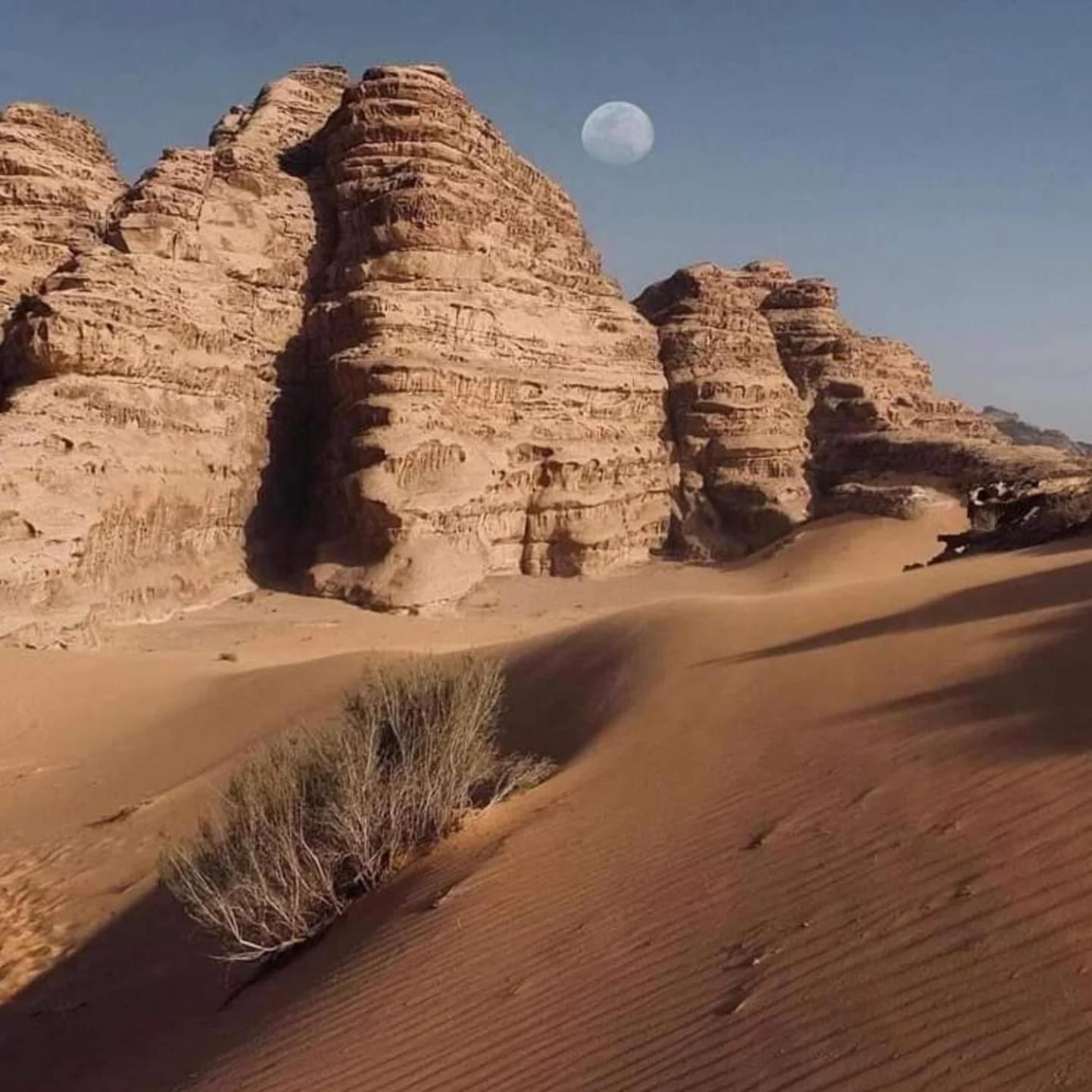 Wadi Rum Trail Extérieur photo